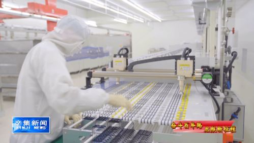 科技引領(lǐng)未來，創(chuàng)新驅(qū)動發(fā)展 計(jì)算機(jī)技術(shù)開發(fā)的浪潮與方向