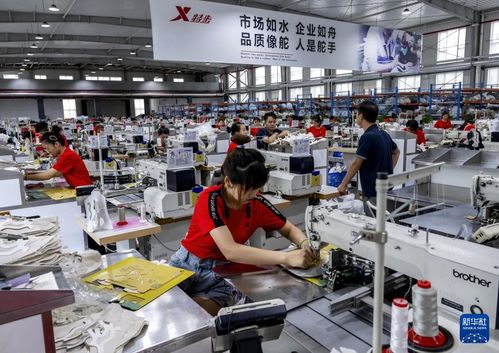 新華全媒 | 從家庭作坊到現代化工廠，從鄉鎮企業到國際知名企業——探訪福建晉江民營企業的管理密碼